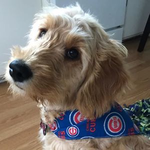 Meet your Posher, Caroline